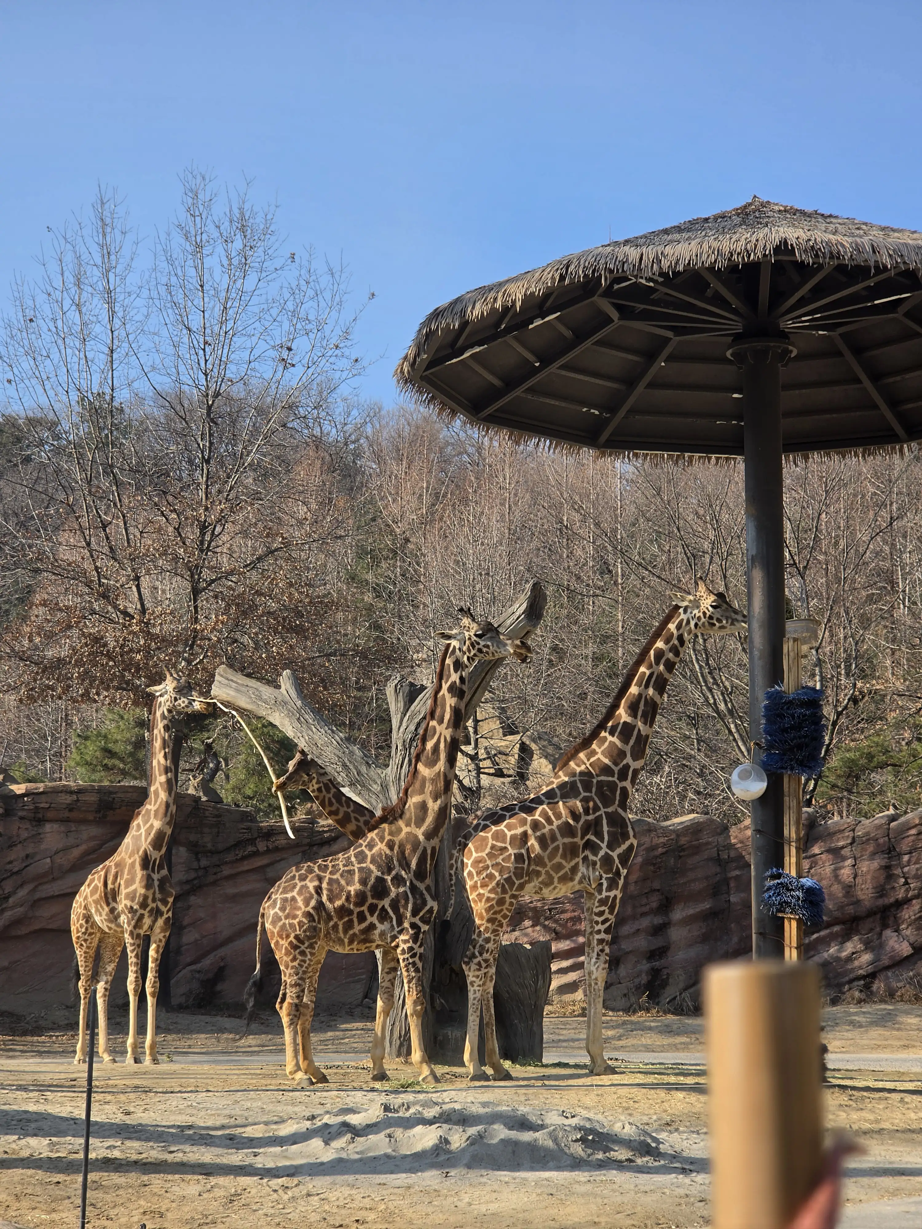 Image in a image block