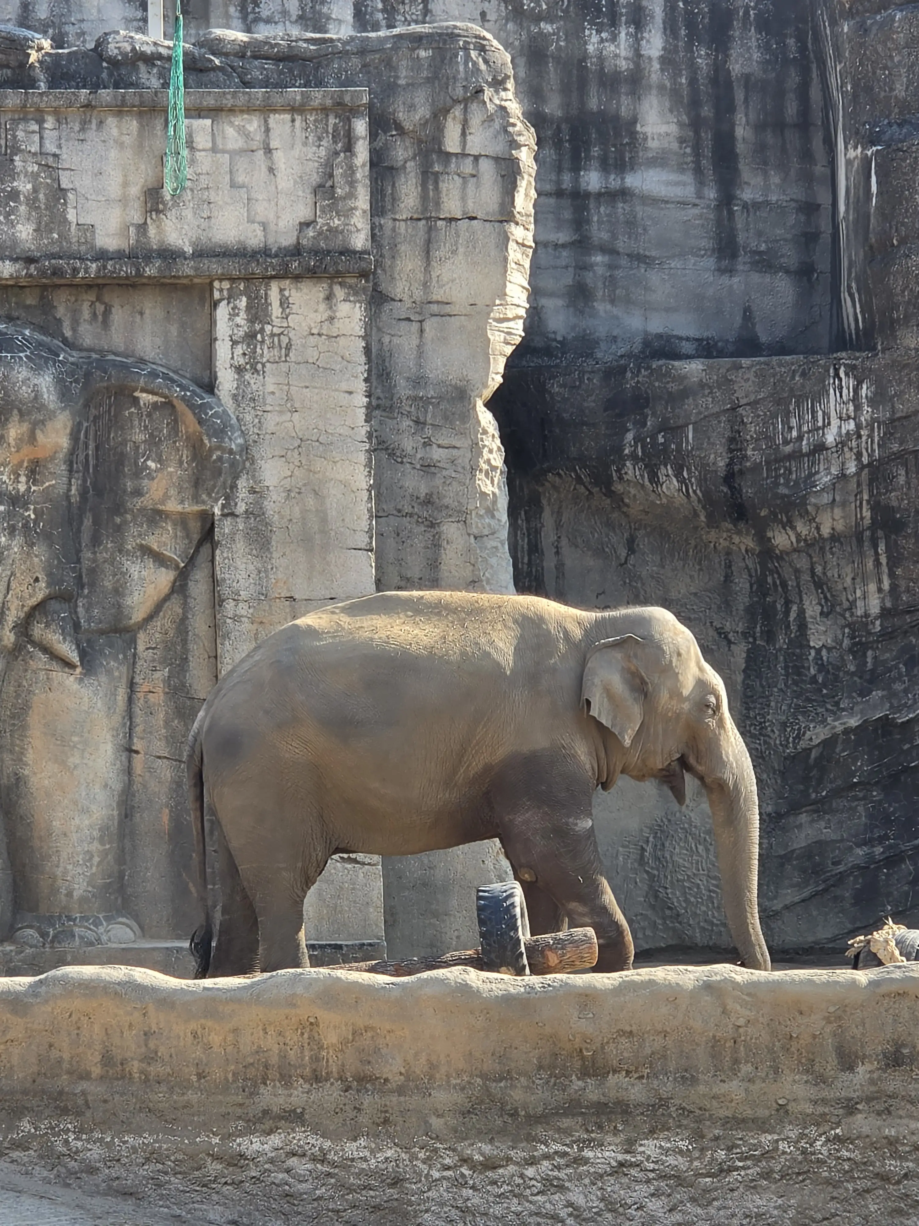 Image in a image block