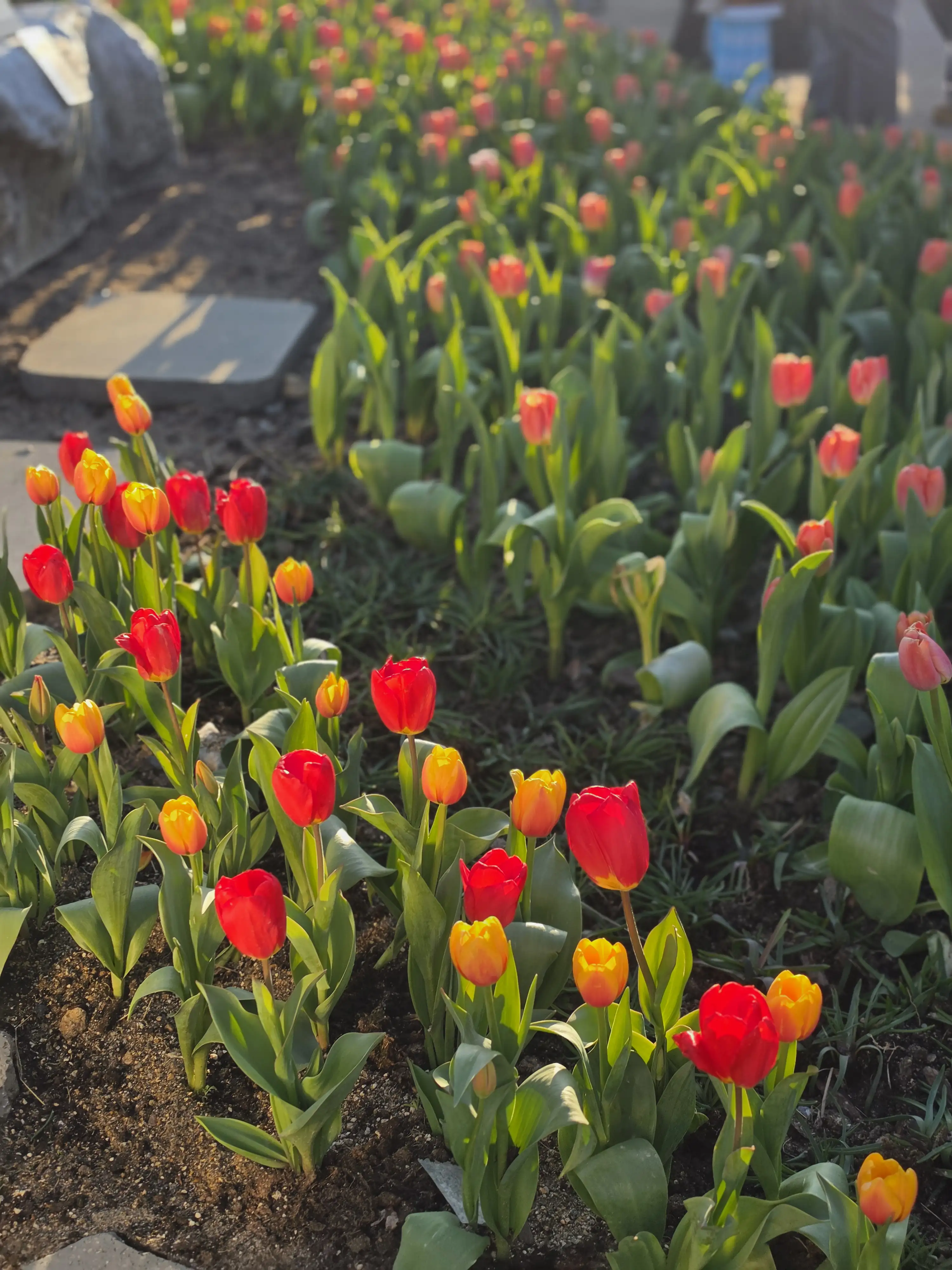 Image in a image block