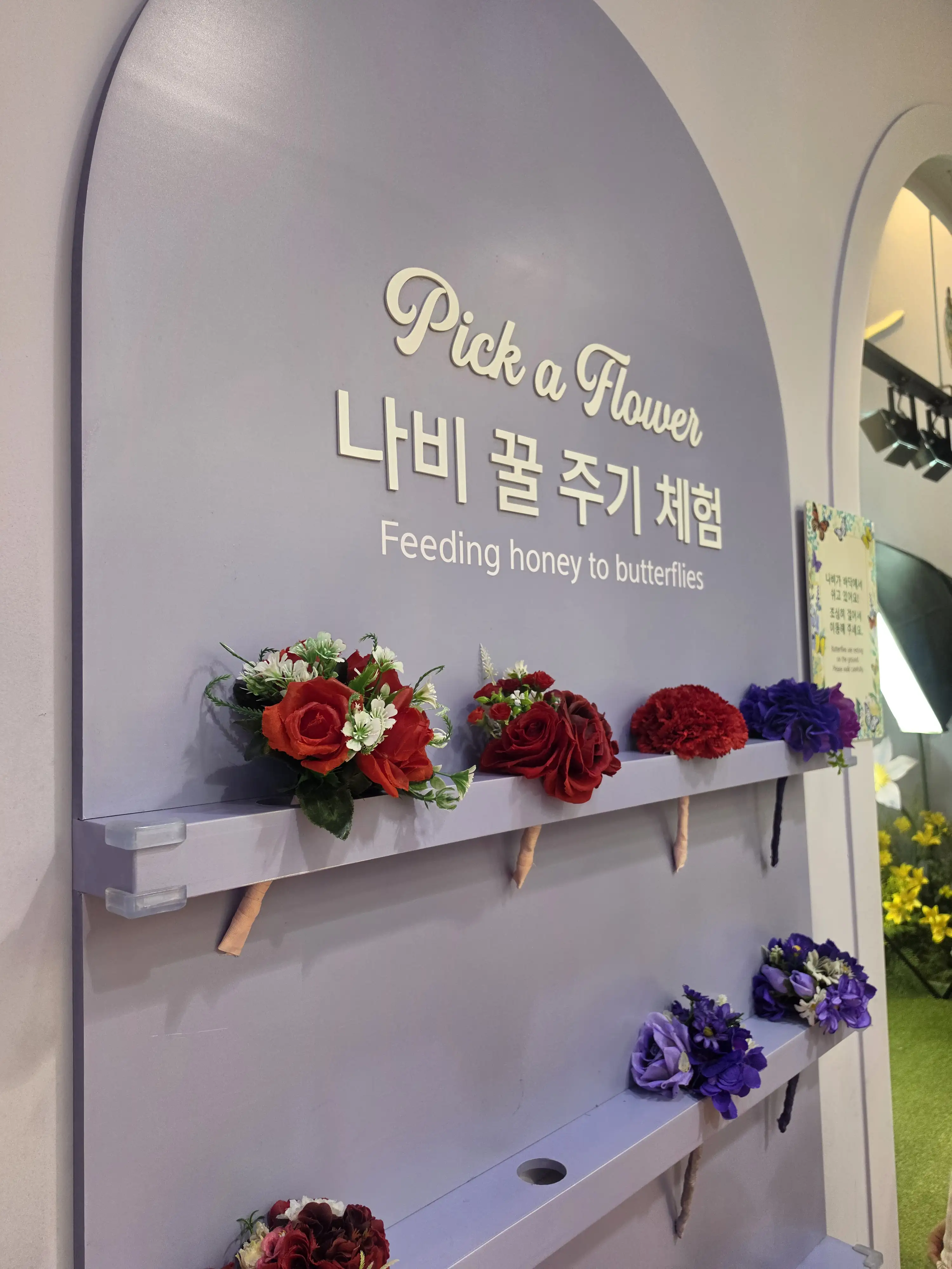 Image in a image block